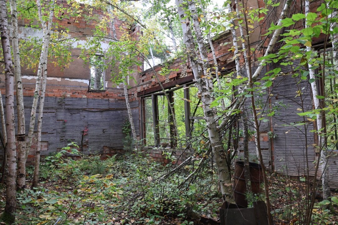 Inside the Walls — Reclaimed